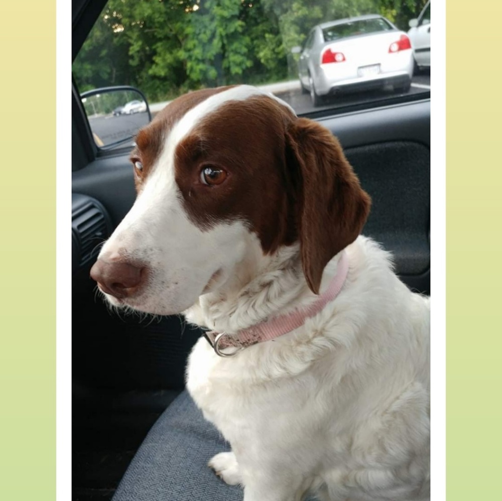 Meet your Posher, Linda